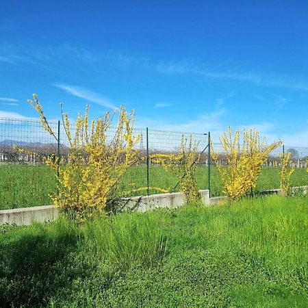 Cascina La Demilana Bed & Breakfast Bibiana Dış mekan fotoğraf