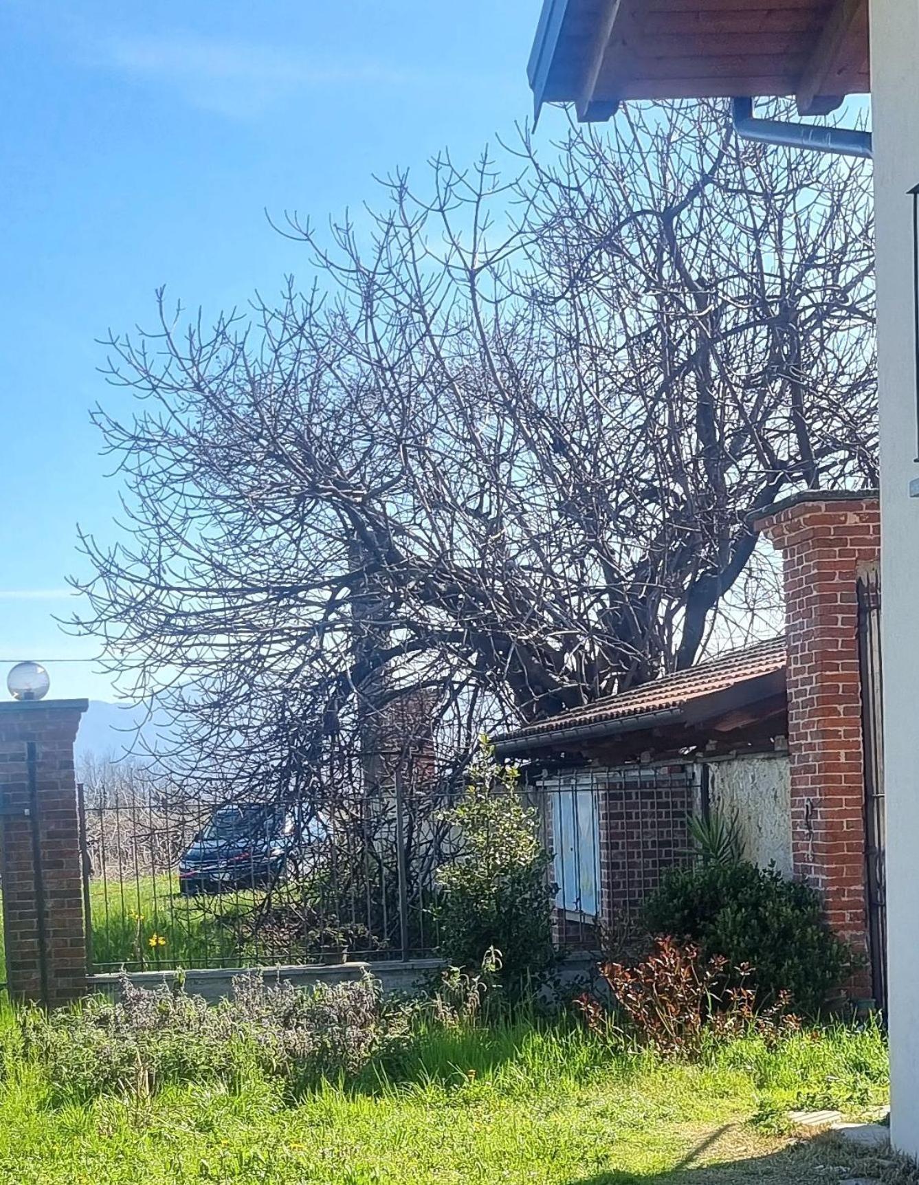 Cascina La Demilana Bed & Breakfast Bibiana Dış mekan fotoğraf